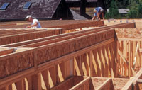 Cook County Lumber EWP Program