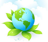 FSC Certificate