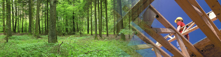 Green Building Solutions