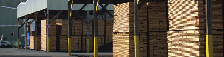 Cook County Lumber Inventory management